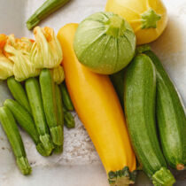 Zucchini